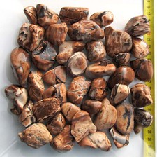 Sternachat Amulettstein