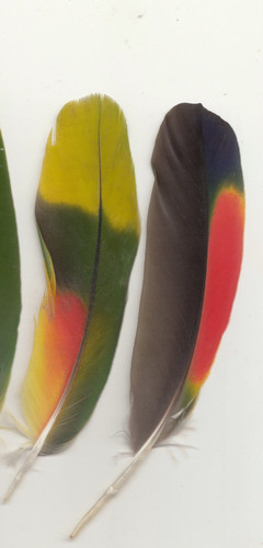 Bunte farbige - bunte,,