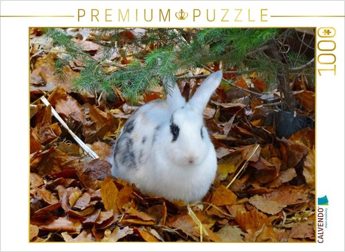 Calvendo puzzle kaninchen - calvendo,