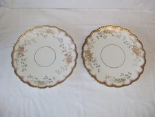 Antikes Paar handbemalte Porzellanteller mit Blumenblattrand 9 Zoll
