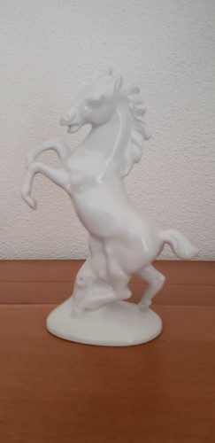 Steigendes pferd aus - pferd,