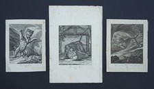 Folge von Löwen Johann Elias