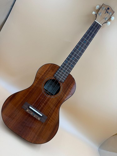 Fgn acoustic fujigen - fgn,