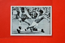 WS-Verlag/Fußball-Weltmeister