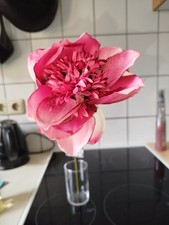 rote künstliche Pfingsrose Glas in Angebot nicht enthalten ca. 46 cm lang ca. 11