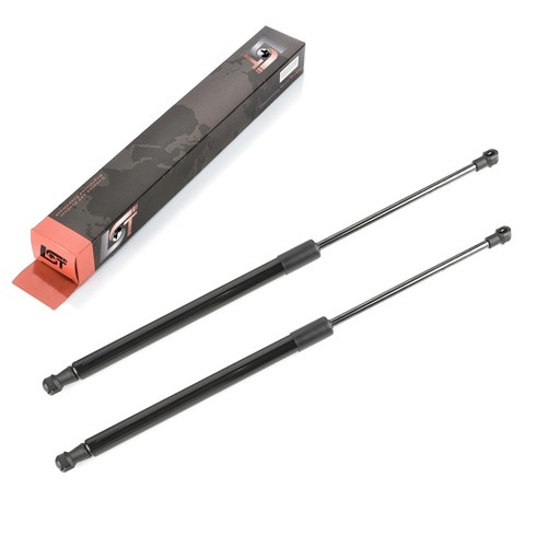 Gasfeder - 2x,
