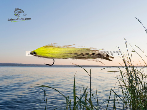 Baitfish streamer - 3x,