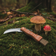 Pilzmesser Schwammerlmesser mit Bürste Pinsel Skala Holzgriff Klappmesser Tasche