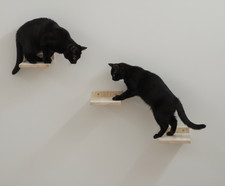 Lottchen Catwalk Katzentreppe