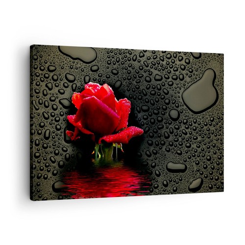 Wandbilder 70x50cm
