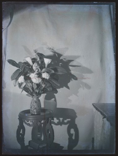 Frankreich nature morte vase - frankreich,