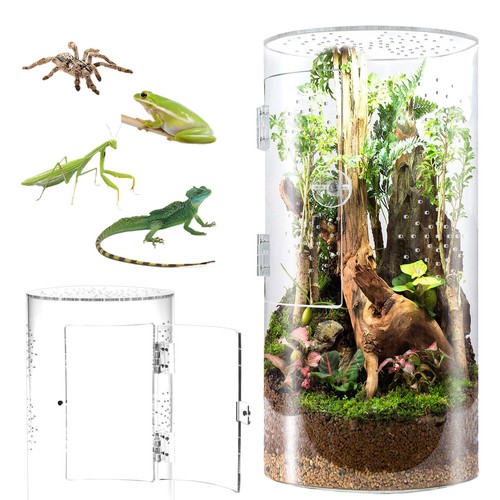 Zylindrischer terrarium - zylindrischer,