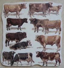 Deko HDF - Tiere Natur Kühe