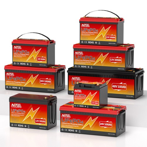 Lifepo4 12v 24v 48v 100ah - lifepo4,