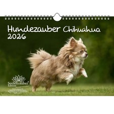 Hundezauber Chihuahua DIN A4