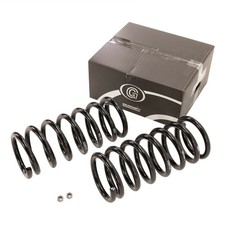 Schraubenfedern (VA)