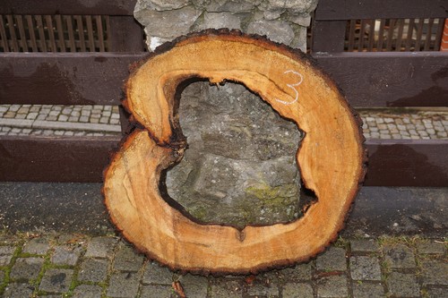 Baumscheibe holzscheibe - baumscheibe,