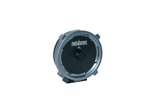 Metabones mft t - metabones, pl