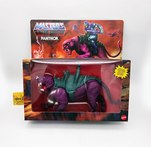 Motu masters the universe - the,