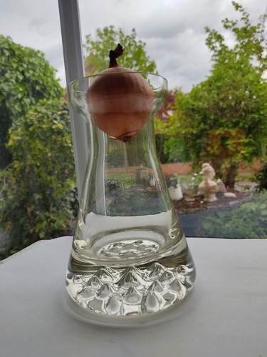 Ausgefallene hyazinthen vase - hyazinthen,