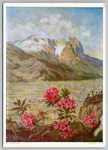 Erich stegmann alpenhofen - stegmann,