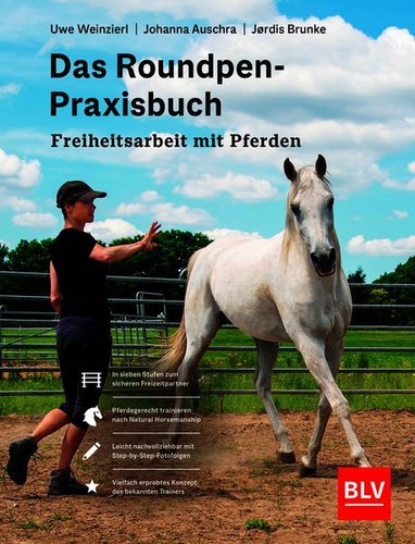 Das roundpen praxisbuch - das,