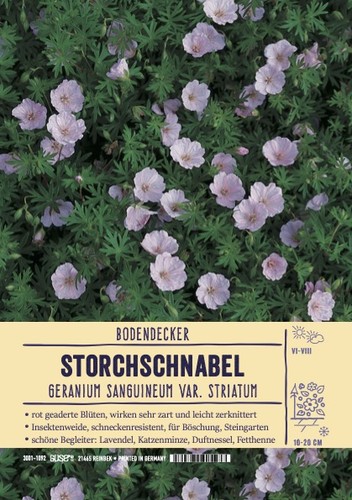 Geranium sanguineum striatum