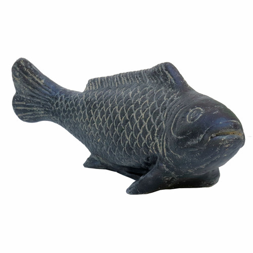 Karpfen koi fisch - fisch, schwarz