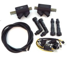 Magna Ignition Coils Caps and