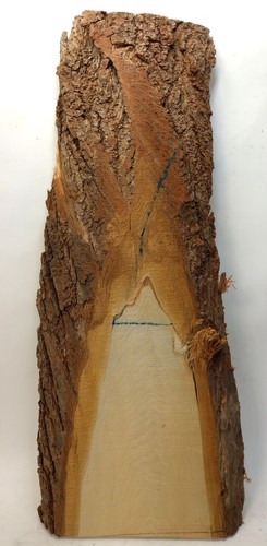 Lindenholz brett mit rinde - brett,