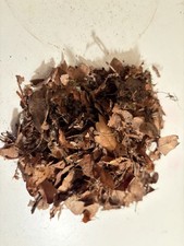 Eichenlaub Substrat 10L