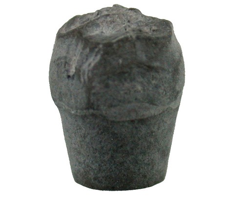 Kreide dunnicrinus cf - kreide,