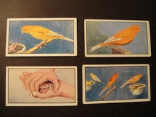 R HYDES VOGELFUTTER SAMEN