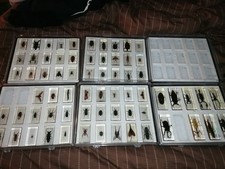 67 Insekten + 68 Hefte National Geographic Acryl Mini Biester sammeln