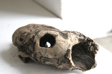 Schwemmholz Treibholz Skulptur