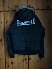 Original Dolomite Fitz Roy