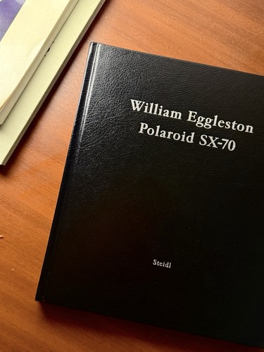 William eggleston polaroid - william,