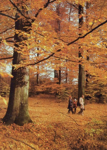 Ddr ansichtskarte bild und - ddr,