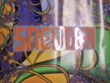 Niederlande Sneijder 2014