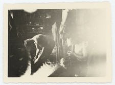 8149a❚ ORIGINAL Foto von