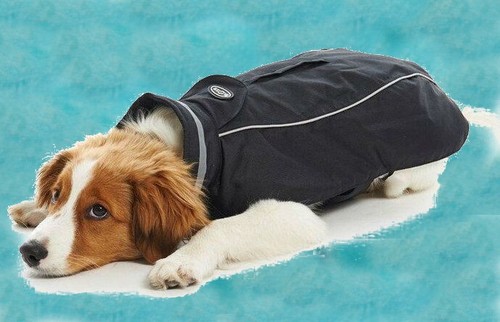 Buster hundemantel - ❤️,