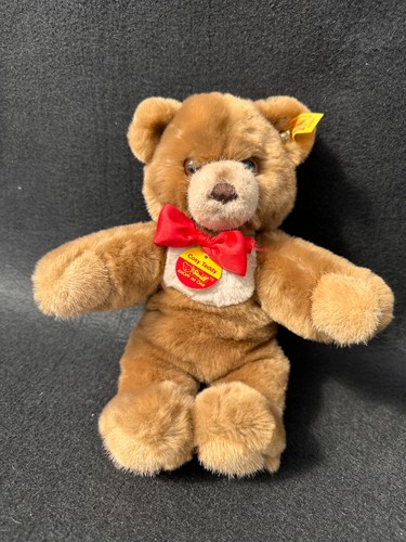 Teddybär cosy teddy - -,
