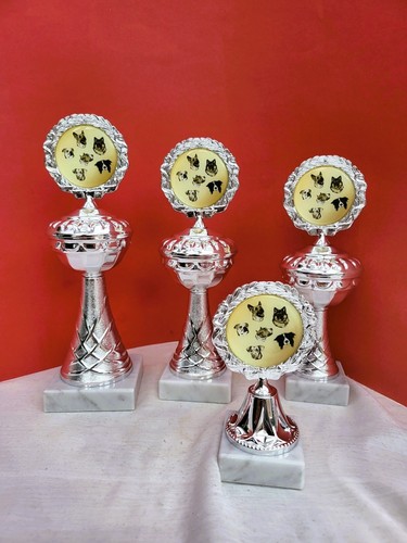 Sport pokal pokale - sport, hund