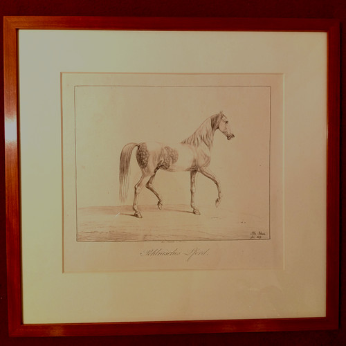 Lithografie albrecht adam - lithografie,,