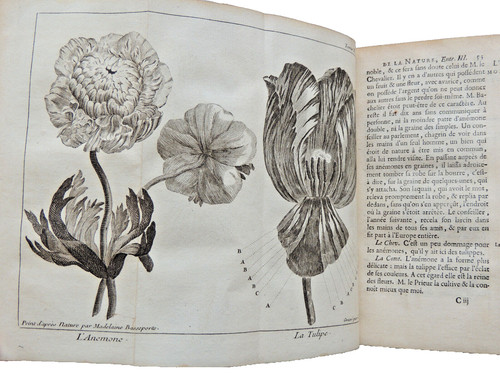 1748 abbé plüsch - plüsch., das