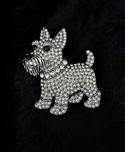 Scottish terrier scottie hund - terrier,