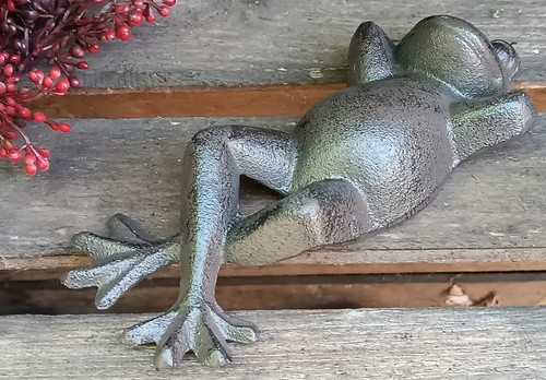 Liegender frosch aus - ,