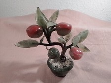 Jadebaum,Pfirsichbaum,Bonsai,H