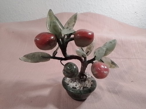 Jadebaum,Pfirsichbaum,Bonsai,H
