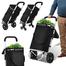 Einkaufstrolley Treppensteiger